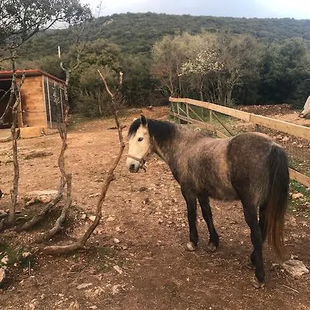 Rocabella Hellinikon Country Ξενοδοχείο