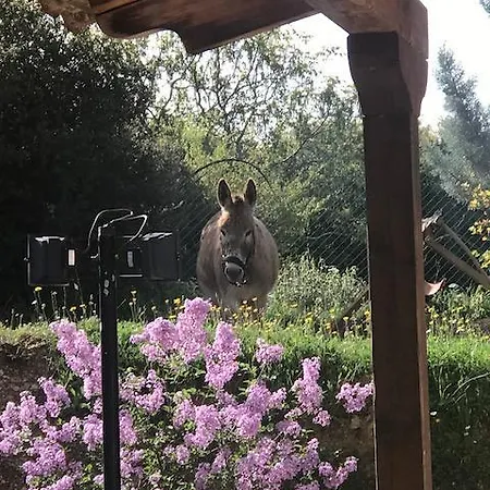 Rocabella Hellinikon Country Ξενοδοχείο