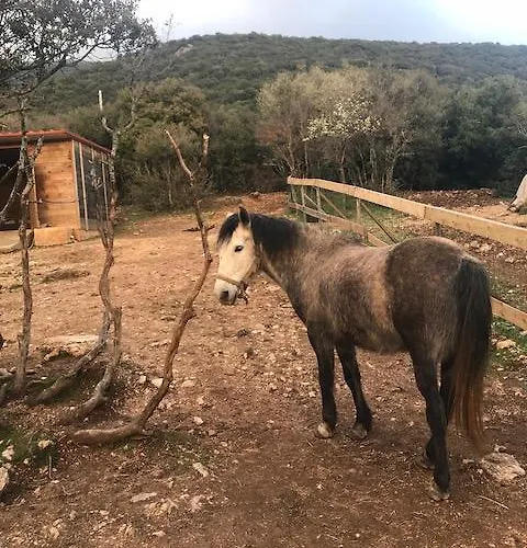 Rocabella Hellinikon Country Hotel