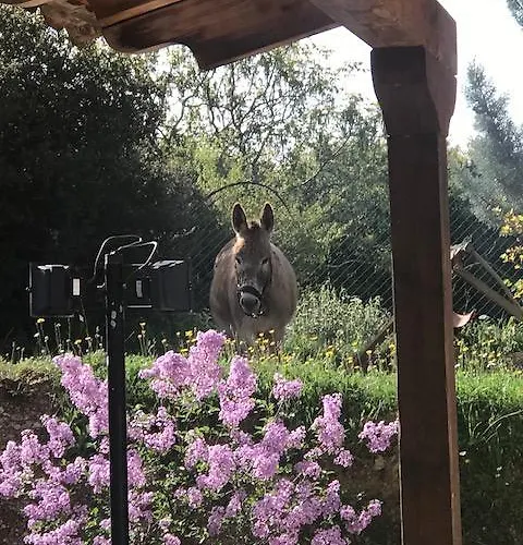 Rocabella Hellinikon Country Hotel